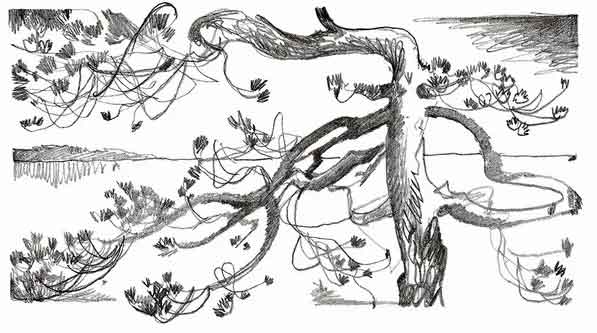 Зеленая война1