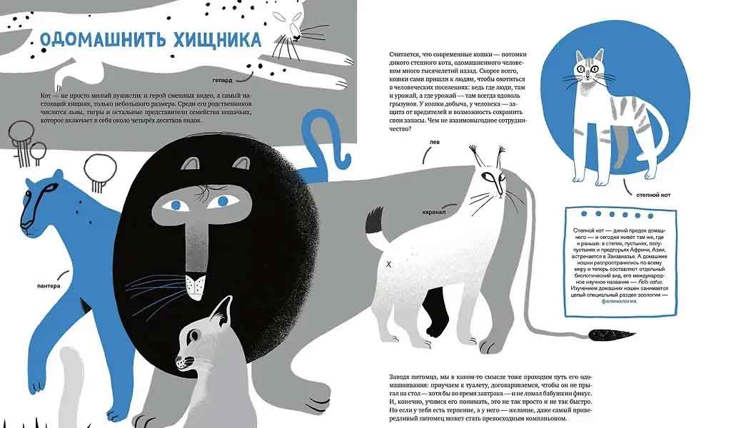 Климова Коты