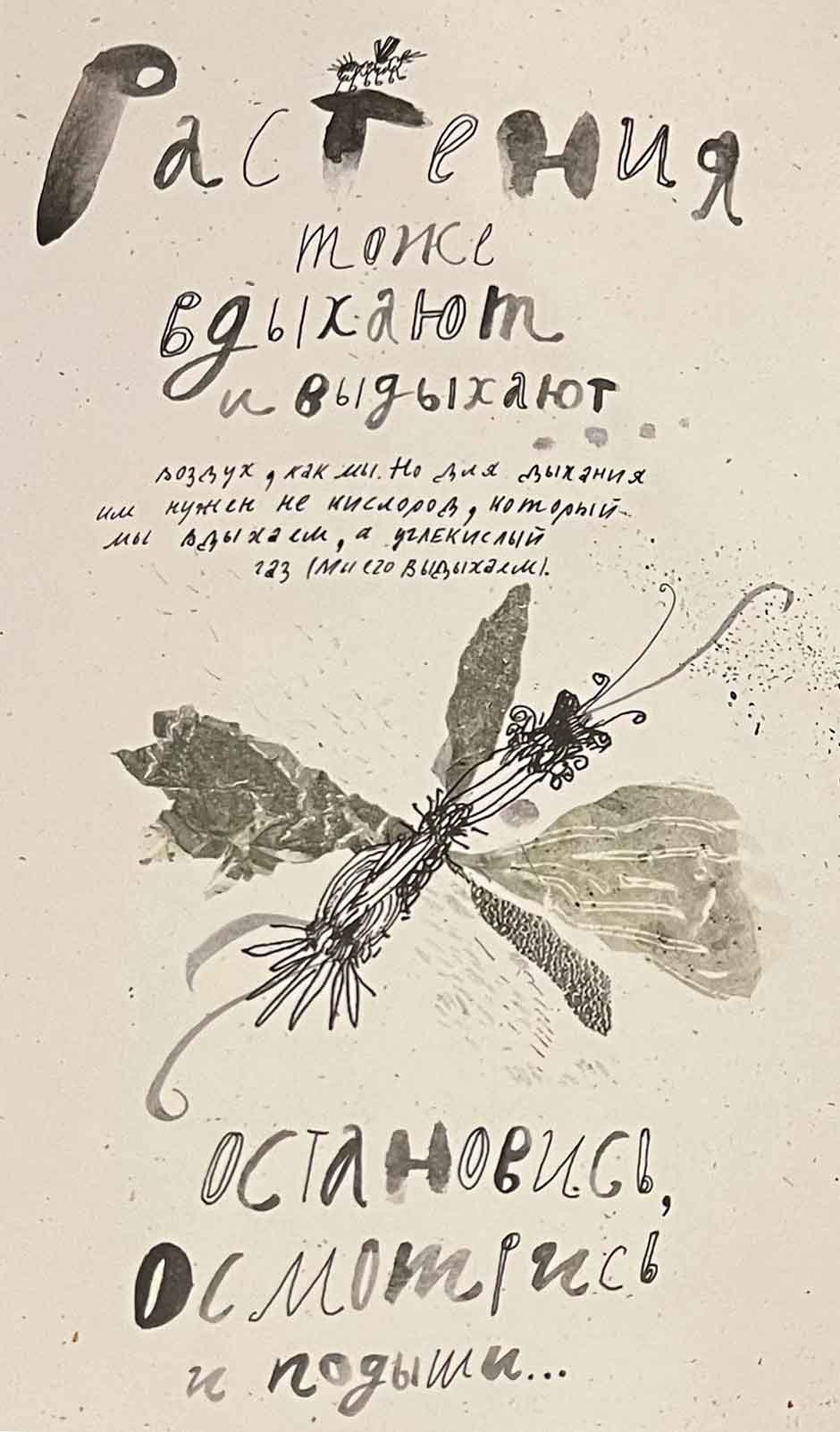 Чернышева Камни