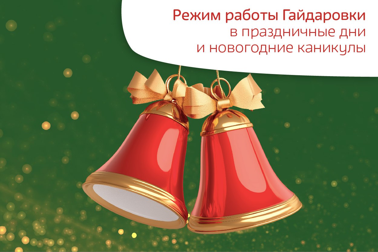 Работа Гайдаровки в новогодние каникулы