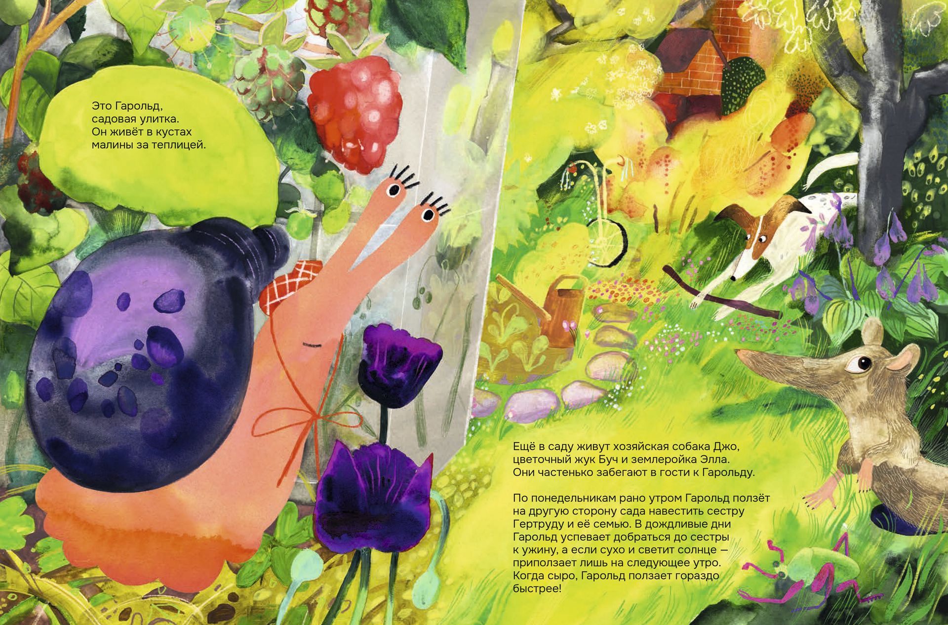 garold ulitka forzatzblok 220x290 prev201224 3 cba