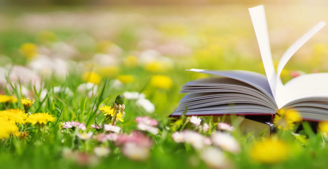 fmt 81 24 shutterstock 1891215007