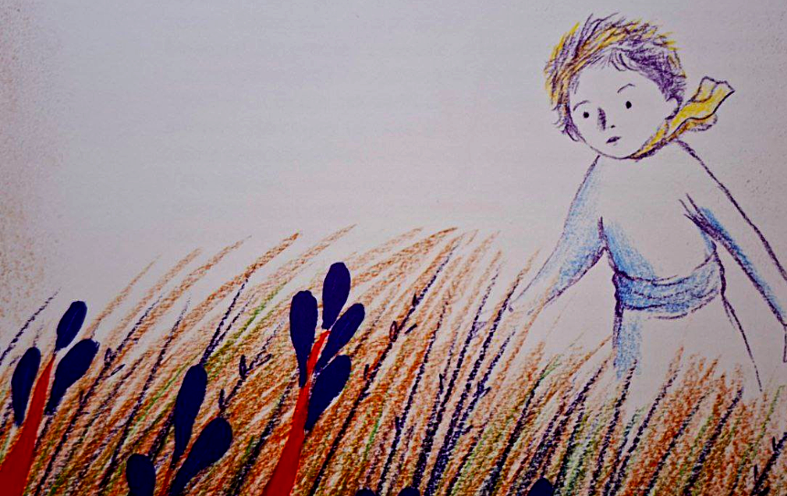 bez nazvaniya 2026 01 25t235539391 c95