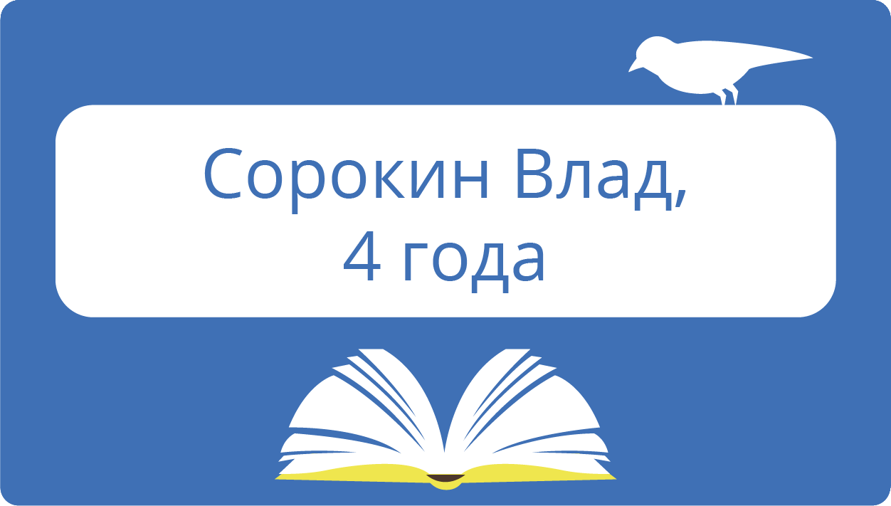 Сорокин Влад