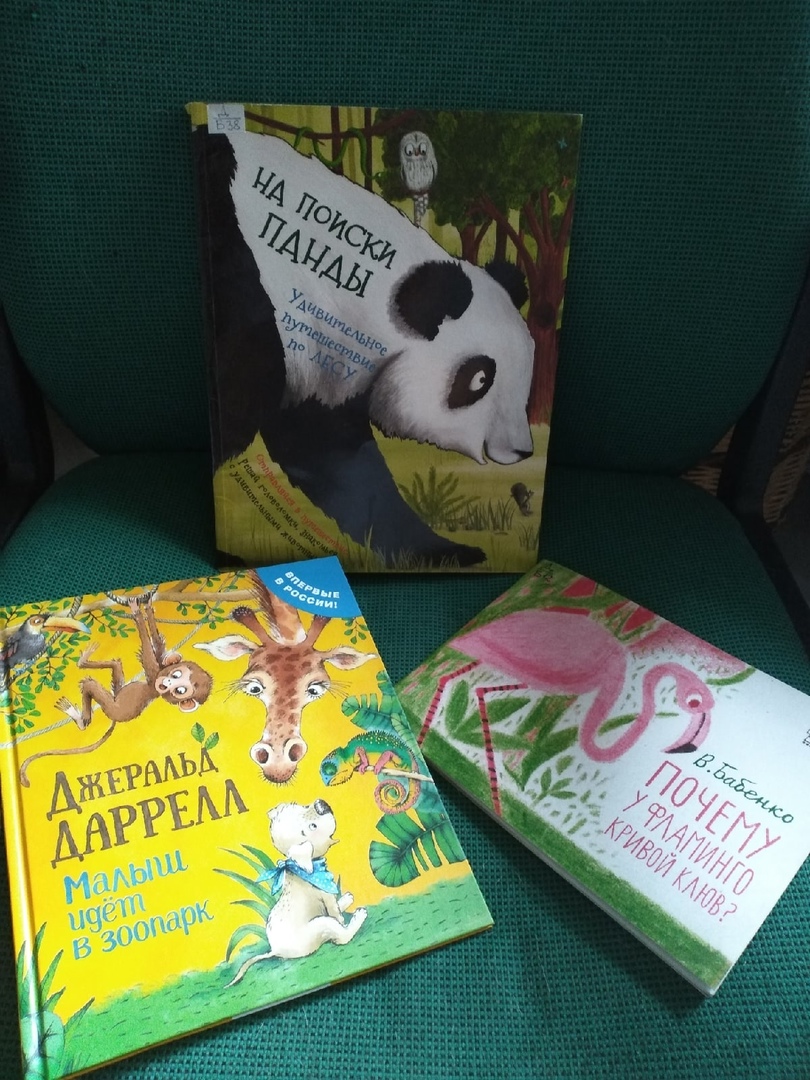 Сорокин Вла ПЛЧ 21