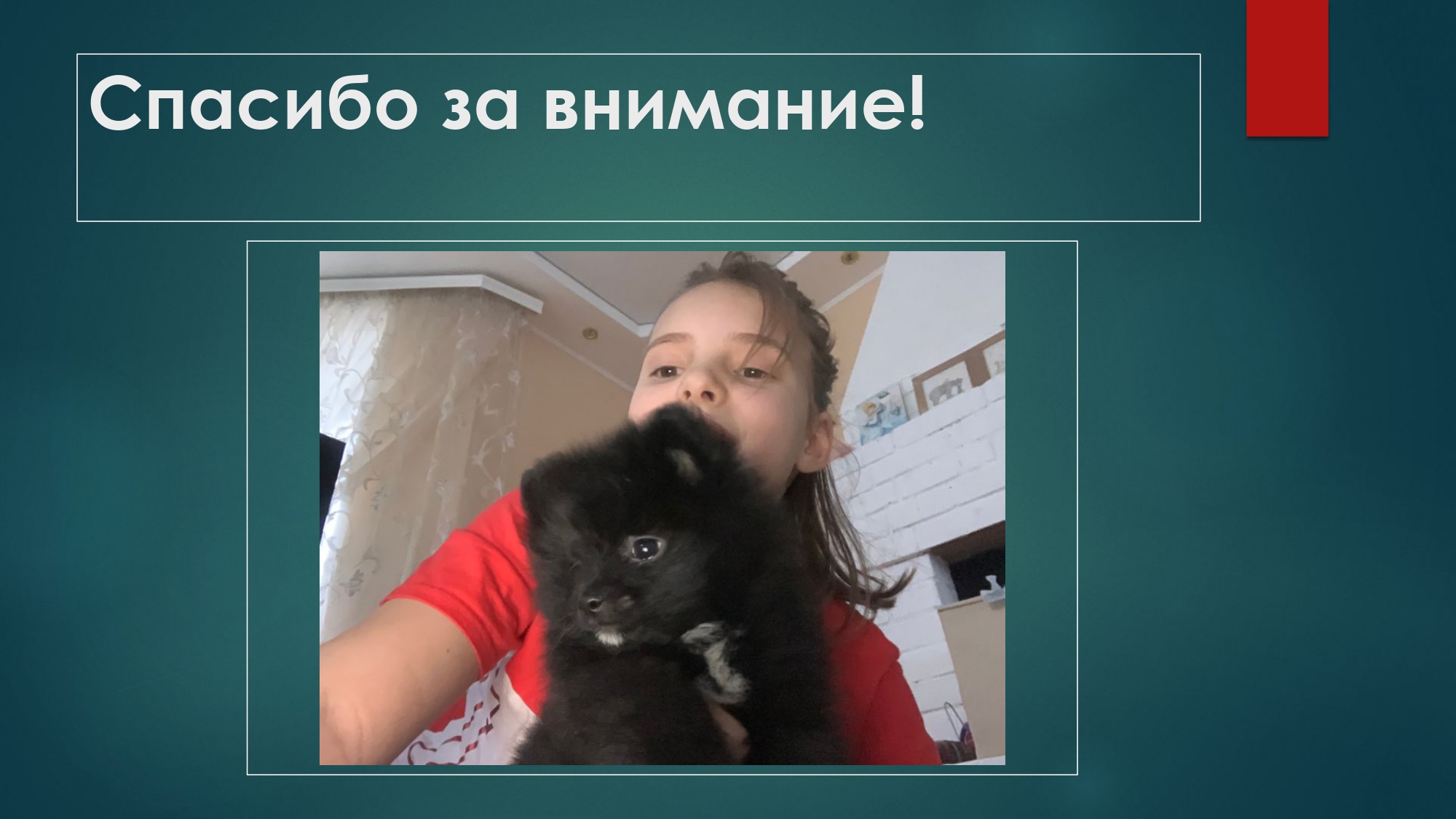 Шаблон презентации page 0008