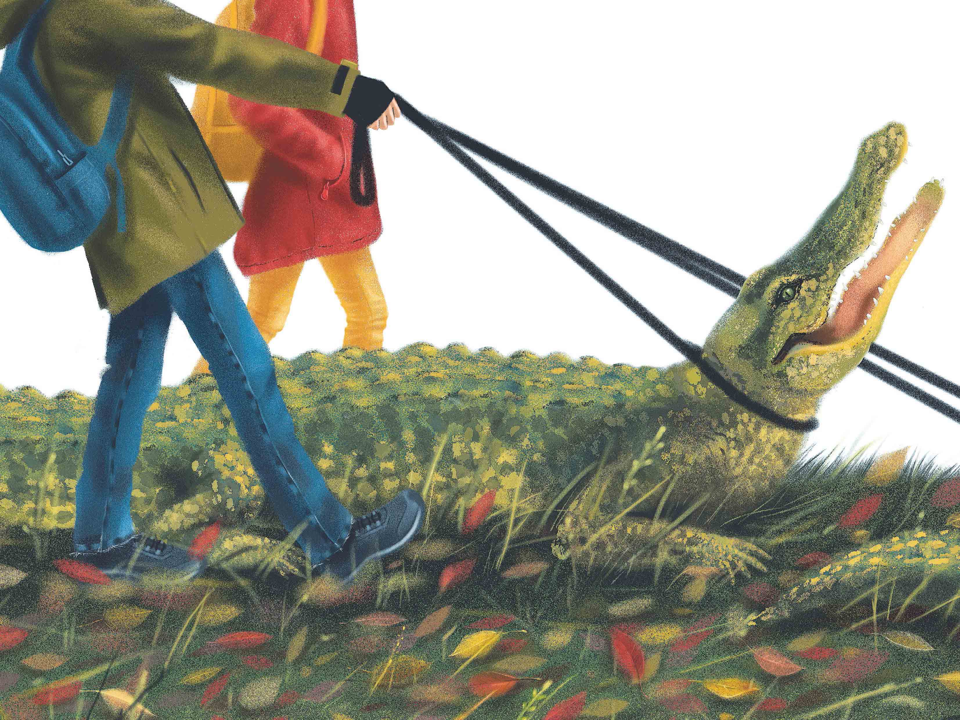 ил Особый случай 11